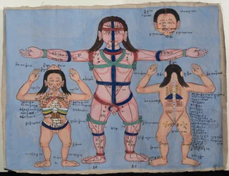 Tableau anatomique